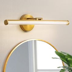 a bathroom with a round mirror and gold trim on the wall next to a potted plant