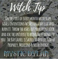 ☽✪☾ first day of the month... First Of The Month, Witch Board, Witch Garden, Wiccan Witch, Magick Spells, Eclectic Witch, Wiccan Spell Book, Witch Spell Book, Witchcraft For Beginners