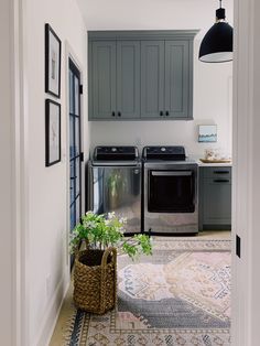 a kitchen with gray cabinets and an area rug on the floor that has a potted plant in it