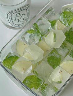 ice cubes with mint and lemon in a glass container