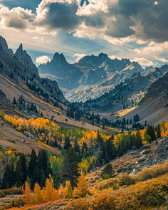 the mountains are full of trees and yellow leaves in autumn time, with clouds above them