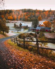 an autumn scene with a country road in the foreground and houses on the other side