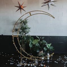 three stars hanging from the ceiling above a plant stand with potted plants in it