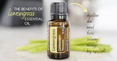 The Benefits of Lemongrass Essential Oil • Lunch with Leah Lemongrass Essential Oil, Lemon Grass, Essential Oil, Essential Oils, Herbs, Benefits