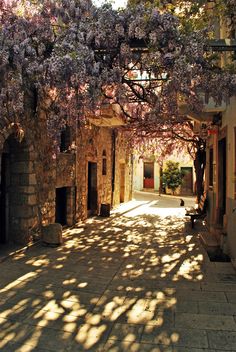 an alley way with purple flowers growing on the trees and stone buildings in the background