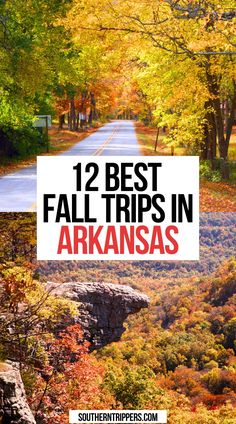 12 Best Fall Trips in Arkansas Mena Arkansas Trips, Arkansas Travel Places To Visit, Fall Arkansas, Arkansas Hikes, Helena Arkansas, Hiking Arkansas, Things To Do In Arkansas, Ponca Arkansas, Fall Travel Destinations