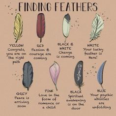 Weather Magick, Feather Color Meaning, Mythology Creatures, Finding Feathers, Feather Meaning, Witch Things, Animal Spirit Guides, Wiccan Magic, Unique Meaning