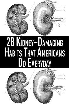 Kidney disease is a real problem in America. More than 90,000 Americans die every year due to kidney disease according to the National Kidney Foundation. That means that kidney disease kills more people annually than both breast cancer and prostate cancer. The good news is that we can take small steps to protect our kidneys by integrating healthy habits into our everyday lives. Kidney Health, Lifestyle Habits, Essential Nutrients, Health Info, Health Remedies, Health Problems, Healthy Tips, Healthy Body, Healthy Habits