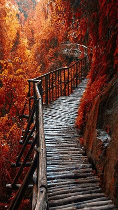 a wooden walkway leading up to the top of a hill with trees on both sides