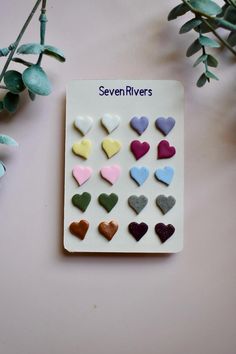 seven rivers heart magnets on a white plate next to some green leaves and flowers