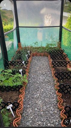 an outdoor greenhouse with many plants growing in the ground and rocks on the ground below