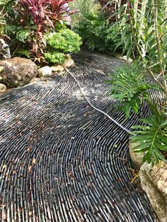 a garden with rocks and plants in the background, including an iron grate on the ground