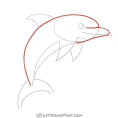 how to draw a dolphin step by step