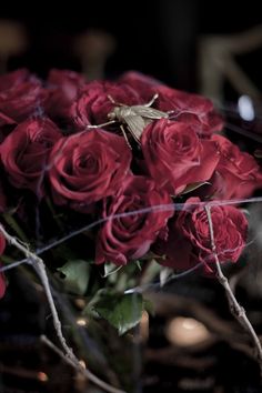 a bunch of red roses in a vase