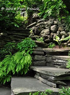 stone steps lead up to a lush green garden