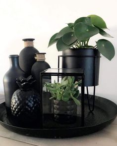 three black vases with plants in them on a tray next to a planter