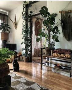 a living room filled with lots of plants next to a wooden floor covered in potted plants