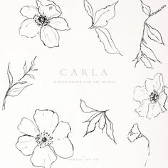 an image of flowers drawn in black and white on paper with the words carla