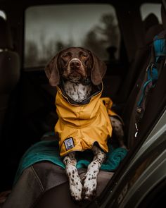 a dog sitting in the back seat of a car wearing a yellow rain coat and boots