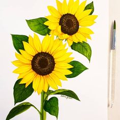 two yellow sunflowers with green leaves on a white background next to a marker