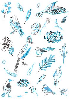 blue birds and leaves are drawn on white paper