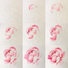 four different images of pink flowers on white paper