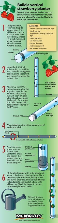 the different types of toothbrushes are shown in this diagram