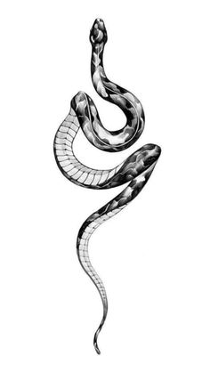 a black and white drawing of a snake with its tail curled up to the side