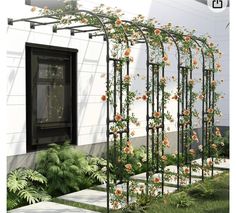 an outdoor garden with roses growing on it