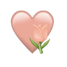 a pink heart with a single flower in it