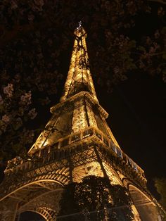 the eiffel tower lit up at night with its lights on and trees in bloom