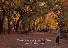 there's nothing quite like autumn in new york