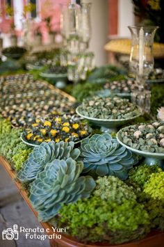 succulents and other plants are arranged in bowls on a table