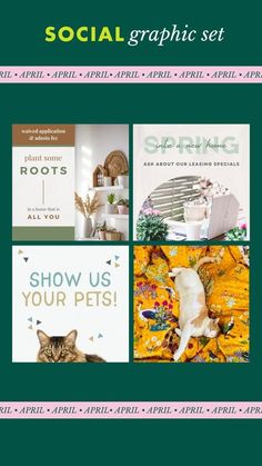 the social graphic set is designed to be used as an advertisement for pet care products