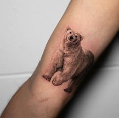 Challenged Polar Bear Tattoo Polar Bear Tattoo Men, Tattoo Polar Bear, Bear Fine Line Tattoo, Teddy Tattoo, Bear Tattoo Meaning, Bear Claw Tattoo, Tattoo Bear