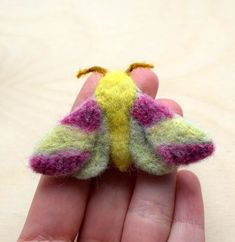 a small yellow and pink moth sitting on someone's hand