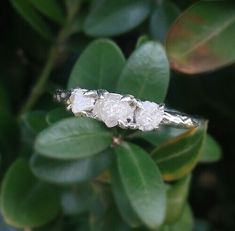 three pieces of silver sitting on top of a green leafy tree branch with leaves in the background