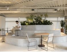 a man sitting at a table in an office with potted plants on the wall