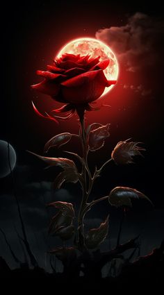 Paz , espiritualidad , y maditacion , arte Arte Jazz, Black Roses Wallpaper, Red Roses Wallpaper, Dark Red Roses, Iphone Wallpaper Hd Nature, Lovely Flowers Wallpaper, Art Animation, Beautiful Art Pictures, Dark Phone Wallpapers