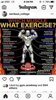 an instagram page with the text which muscle is what exercise?