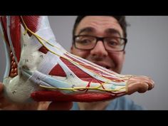 🦶Do you have outside of the foot painWe we have all the CAUSESSYMPTOMSABSOLUTE best treatment options for your lateral foot pain.The most common ca... Ankle Pain, Foot Pain Relief, Stomach Problems, Calf Muscles, Heel Pain, Massage Roller, Foot Massage, Food Facts