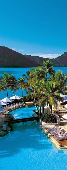 an outdoor swimming pool with lounge chairs and umbrellas next to the water surrounded by palm trees