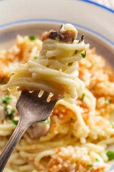 Chicken Spaghetti Pioneer Woman, Pioneer Woman Recipes Dinner, Easy Chicken Tetrazzini, Chicken Tetrazzini Recipes, Healthy Chicken Casserole, Tex Mex Chicken, Chicken Spaghetti Casserole, Turkey Tetrazzini, Cheesy Chicken Spaghetti