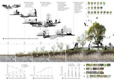 an info sheet with trees and people on it