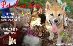 two dogs standing next to each other in front of a sign that says pet fest 2013