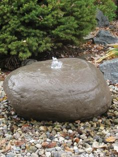 a rock sitting on top of a pile of rocks next to a tree and bushes