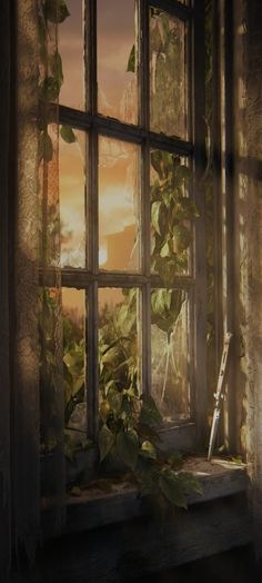 the sun is shining through an open window with ivy growing on it and curtains hanging down