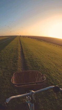 a bike is parked in the middle of a field