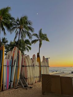 many surfboards are lined up on the beach