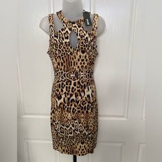 New Wtag-Just Cavalli Animal Print Cutout Dress 4 Cavalli Dress, Just Cavalli, Cutout Dress, New Dress, Black And Brown, Animal Print, Size 4, Mini Dress, Womens Dresses